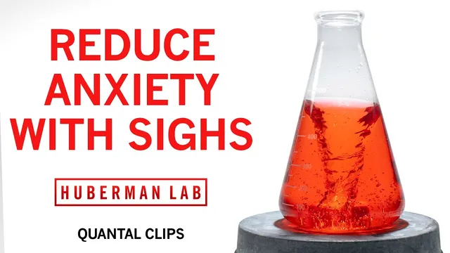 Reduce Anxiety & Stress with the Physiological Sigh — Andrew Huberman